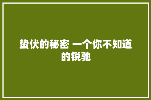 蛰伏的秘密 一个你不知道的锐驰