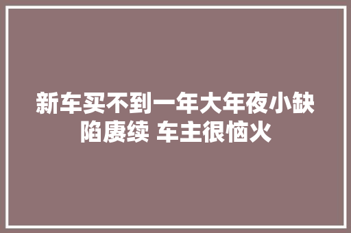 新车买不到一年大年夜小缺陷赓续 车主很恼火