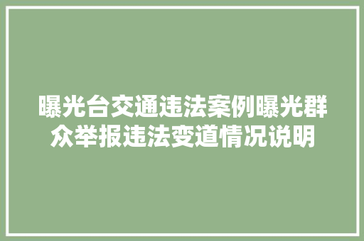 曝光台交通违法案例曝光群众举报违法变道情况说明