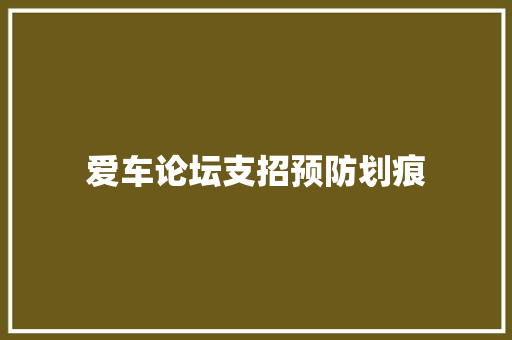 爱车论坛支招预防划痕
