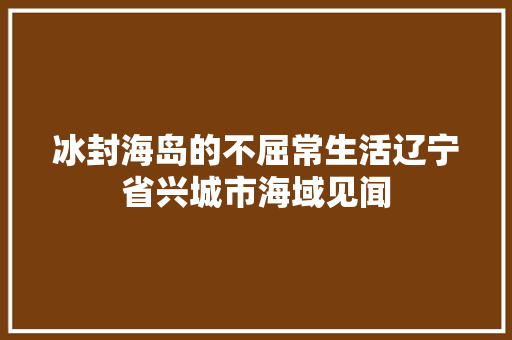 冰封海岛的不屈常生活辽宁省兴城市海域见闻