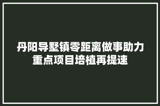 丹阳导墅镇零距离做事助力重点项目培植再提速