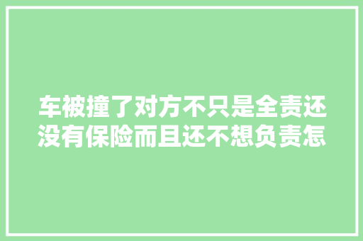 车被撞了对方不只是全责还没有保险而且还不想负责怎么办
