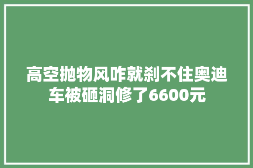 高空抛物风咋就刹不住奥迪车被砸洞修了6600元
