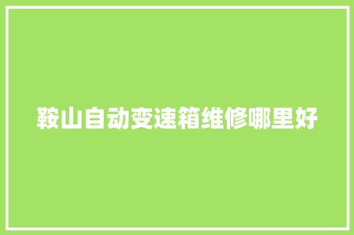 鞍山自动变速箱维修哪里好