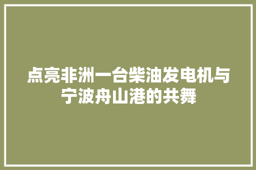 点亮非洲一台柴油发电机与宁波舟山港的共舞