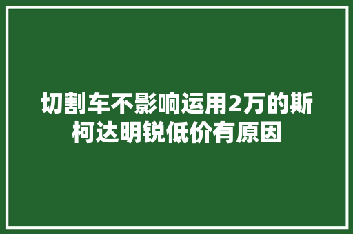 切割车不影响运用2万的斯柯达明锐低价有原因