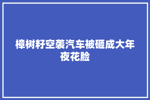 樟树籽空袭汽车被砸成大年夜花脸