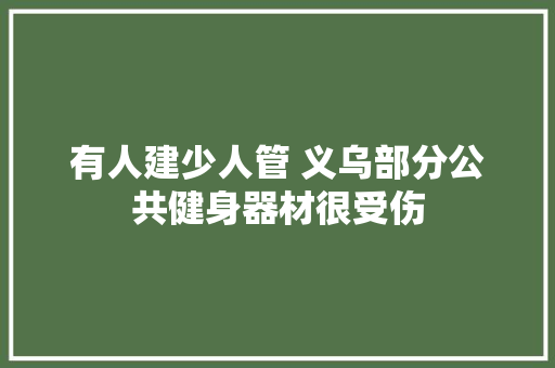 有人建少人管 义乌部分公共健身器材很受伤