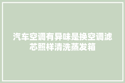 汽车空调有异味是换空调滤芯照样清洗蒸发箱
