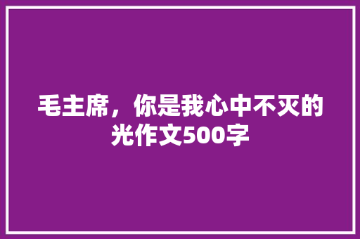 毛主席，你是我心中不灭的光作文500字