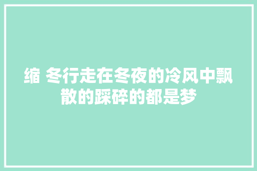 缩 冬行走在冬夜的冷风中飘散的踩碎的都是梦