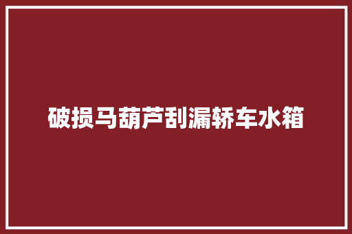 破损马葫芦刮漏轿车水箱
