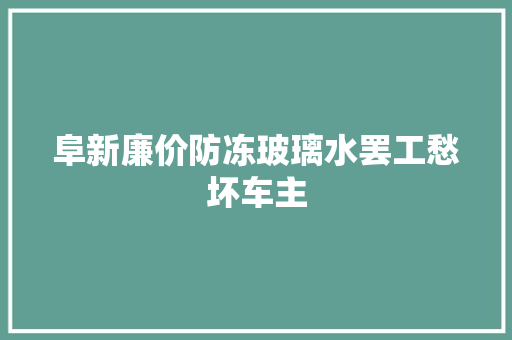 阜新廉价防冻玻璃水罢工愁坏车主