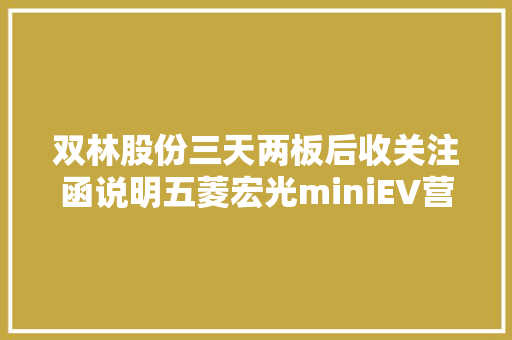 双林股份三天两板后收关注函说明五菱宏光miniEV营业