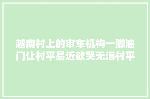 越南村上的审车机构一脚油门让村平易近欲哭无泪村平易近见收入 汽车知识