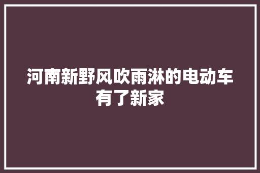河南新野风吹雨淋的电动车有了新家