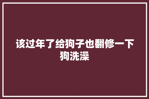 该过年了给狗子也翻修一下狗洗澡