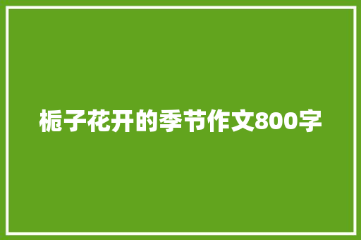 栀子花开的季节作文800字