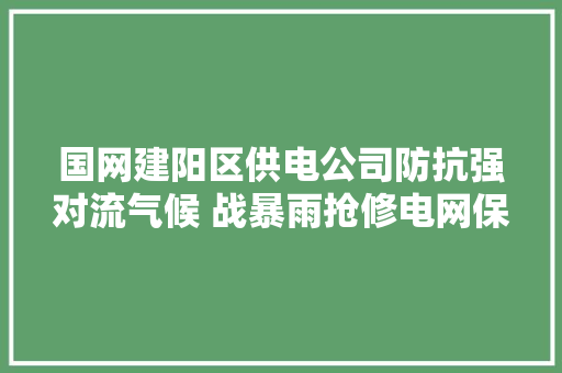 国网建阳区供电公司防抗强对流气候 战暴雨抢修电网保运行