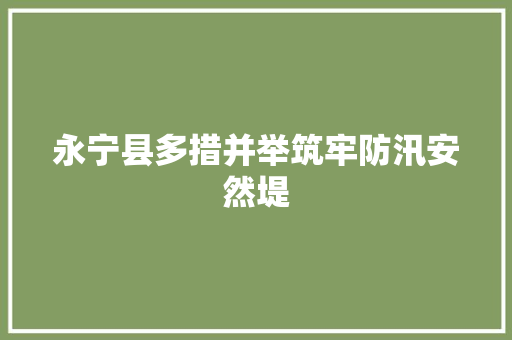 永宁县多措并举筑牢防汛安然堤