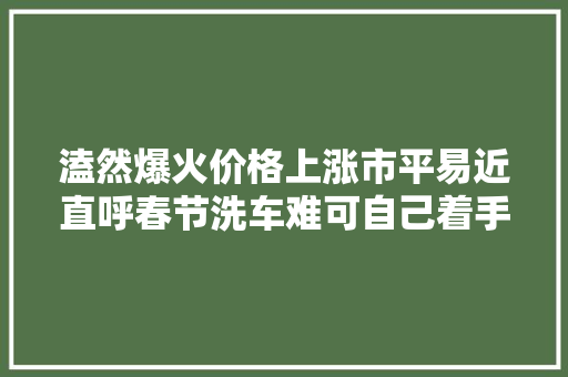 溘然爆火价格上涨市平易近直呼春节洗车难可自己着手