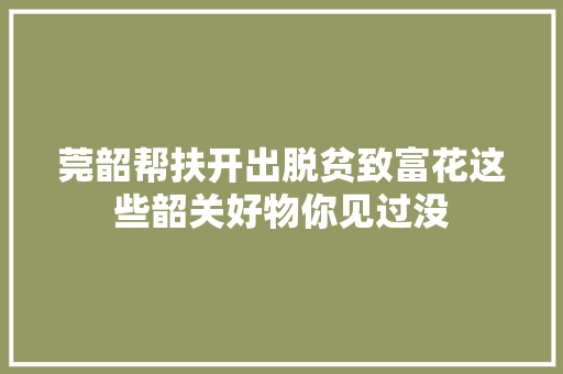 莞韶帮扶开出脱贫致富花这些韶关好物你见过没