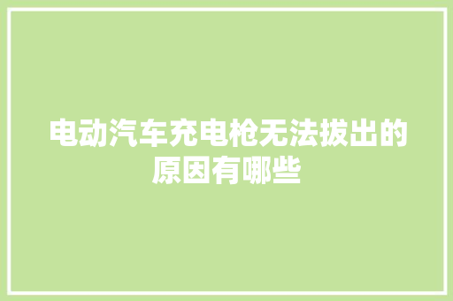 电动汽车充电枪无法拔出的原因有哪些
