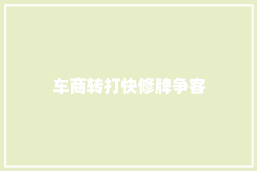 车商转打快修牌争客 汽车知识