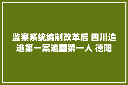 监察系统编制改革后 四川追逃第一案追回第一人 德阳监委成立6个月 成功抓到潜逃21年的嫌疑人