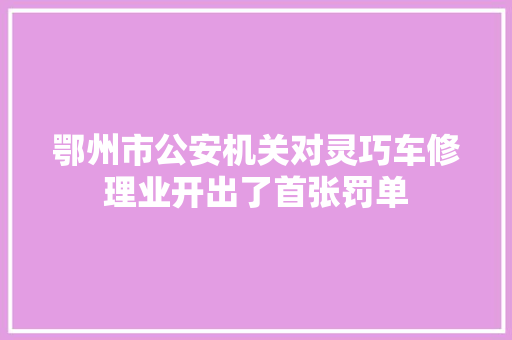 鄂州市公安机关对灵巧车修理业开出了首张罚单