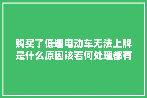 购买了低速电动车无法上牌是什么原因该若何处理都有了谜底