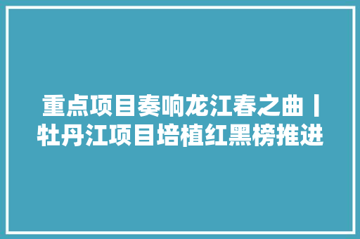 重点项目奏响龙江春之曲丨牡丹江项目培植红黑榜推进 保姆式做事