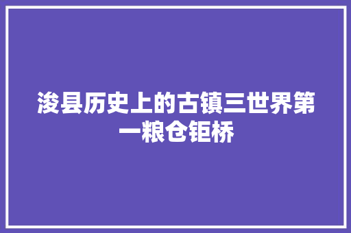 浚县历史上的古镇三世界第一粮仓钜桥