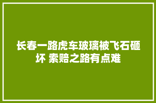 长春一路虎车玻璃被飞石砸坏 索赔之路有点难