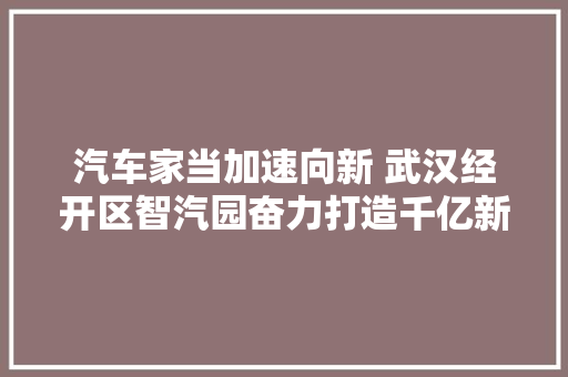 汽车家当加速向新 武汉经开区智汽园奋力打造千亿新能源汽车增长极