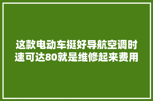 这款电动车挺好导航空调时速可达80就是维修起来费用高点
