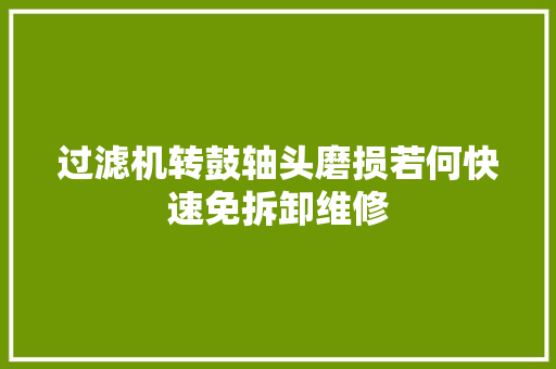 过滤机转鼓轴头磨损若何快速免拆卸维修