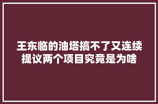 王东临的油塔搞不了又连续提议两个项目究竟是为啥