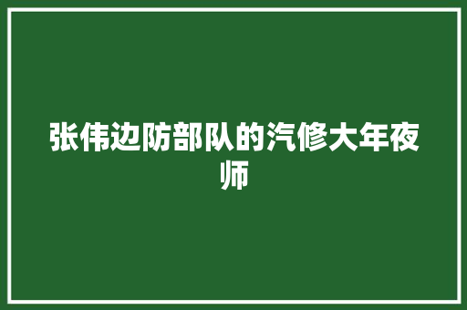 张伟边防部队的汽修大年夜师