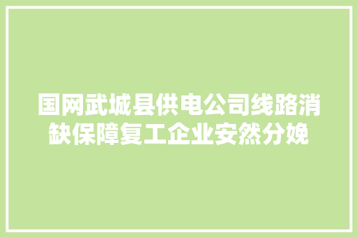 国网武城县供电公司线路消缺保障复工企业安然分娩