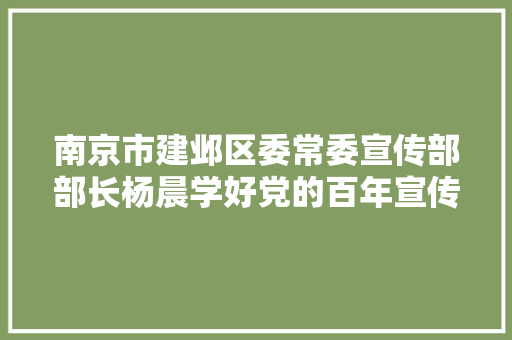 南京市建邺区委常委宣传部部长杨晨学好党的百年宣传史做好新时代宣传思惟工作