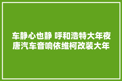 车静心也静 呼和浩特大年夜唐汽车音响依维柯改装大年夜白鲨隔音