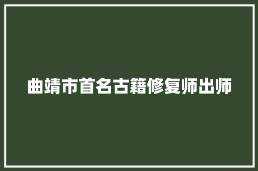 曲靖市首名古籍修复师出师