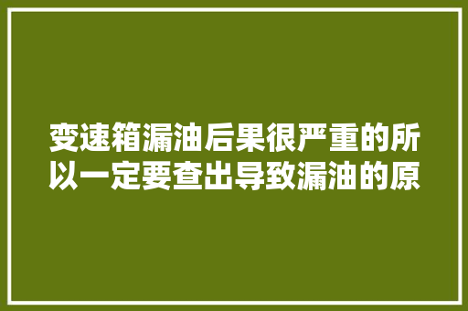 变速箱漏油后果很严重的所以一定要查出导致漏油的原因