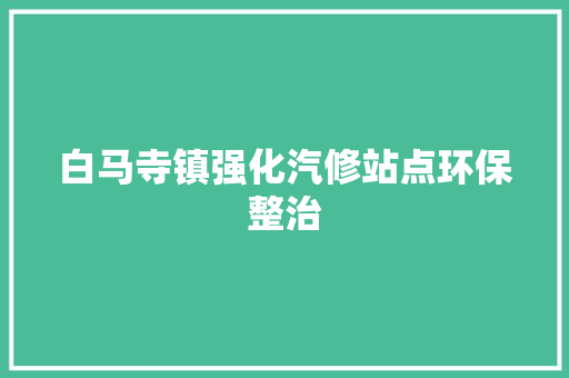 白马寺镇强化汽修站点环保整治