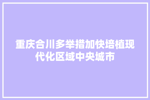重庆合川多举措加快培植现代化区域中央城市