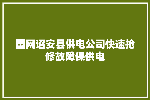 国网诏安县供电公司快速抢修故障保供电