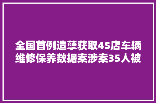 全国首例造孽获取4S店车辆维修保养数据案涉案35人被起诉