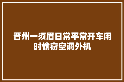 晋州一须眉日常平常开车闲时偷窃空调外机